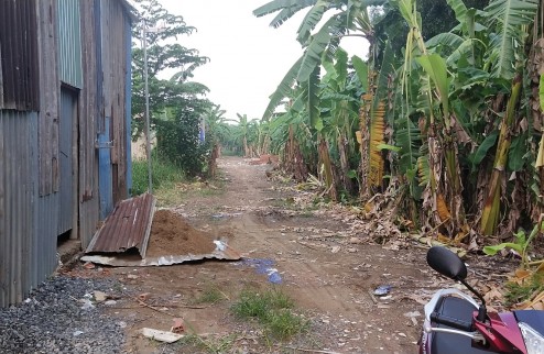 Bán đất ngộp Hồ Văn Long phường  Tân Tạo Bình Tân giá 900 triệu